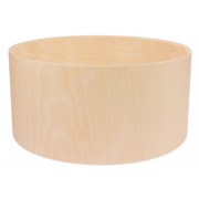 Beech Shell 5.4mm 6"x3"