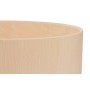 Beech Shell 5.4mm 6"x3"