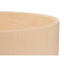 Beech Shell 5.4mm 6"x3"