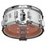 14" x 6.5" Dyna-Sonic 37-WMP White Marine Pearl - Beavertail