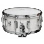 14" x 6.5" Dyna-Sonic 37-WMP White Marine Pearl - Beavertail