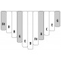 Kalimba Junior Celeste Diatonic 11 Notes sur Table